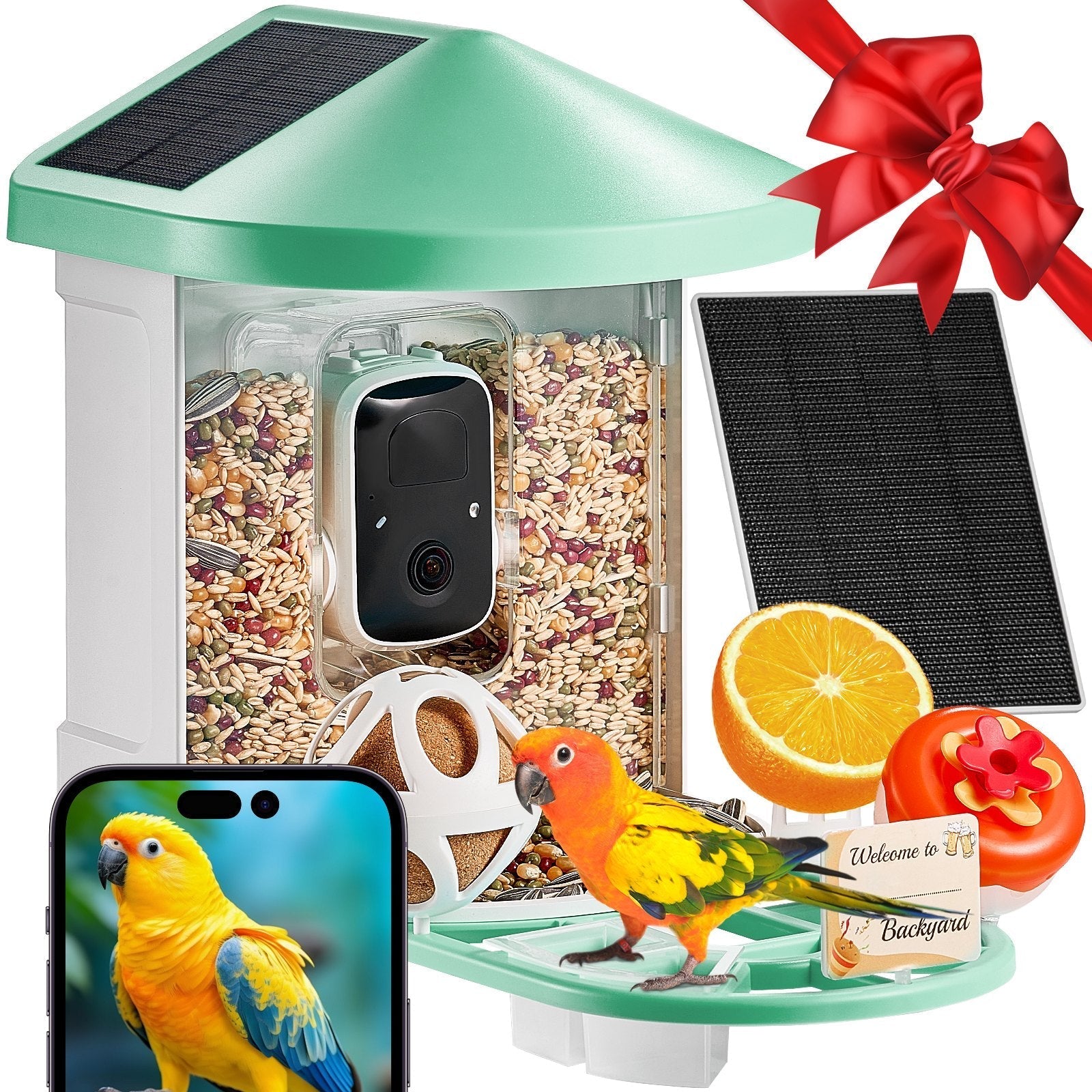 Smart Bird Feeder With Camera AI Identify 10000+ Bird Specie