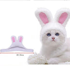 Christmas Funny Hat Cap Pet Dress Simulation Toy Halloween Party