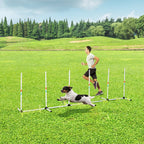 Sturdy Dog Weaves Poles Pet Speed and Agility Equipment Dogs Obstacle