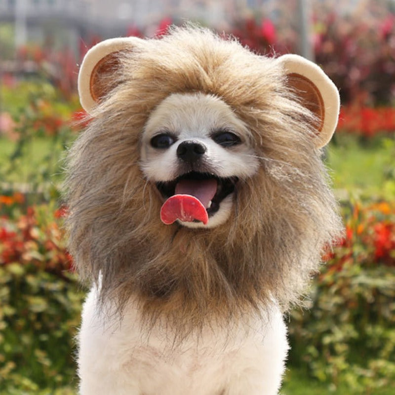 Christmas Funny Hat Cap Pet Dress Simulation Toy Halloween Party