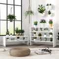 3 Pieces 31-Inch Stackable Multi-Shape Shoe Rack-White