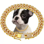 US LOCAL STOCK Hiphoppet Beautiful Hot Sale Luxury Alloy Dog Chain