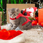 S-M-L-XL Options -- 1Pc Pet Christmas Costumes Red Winter Coat For Dog