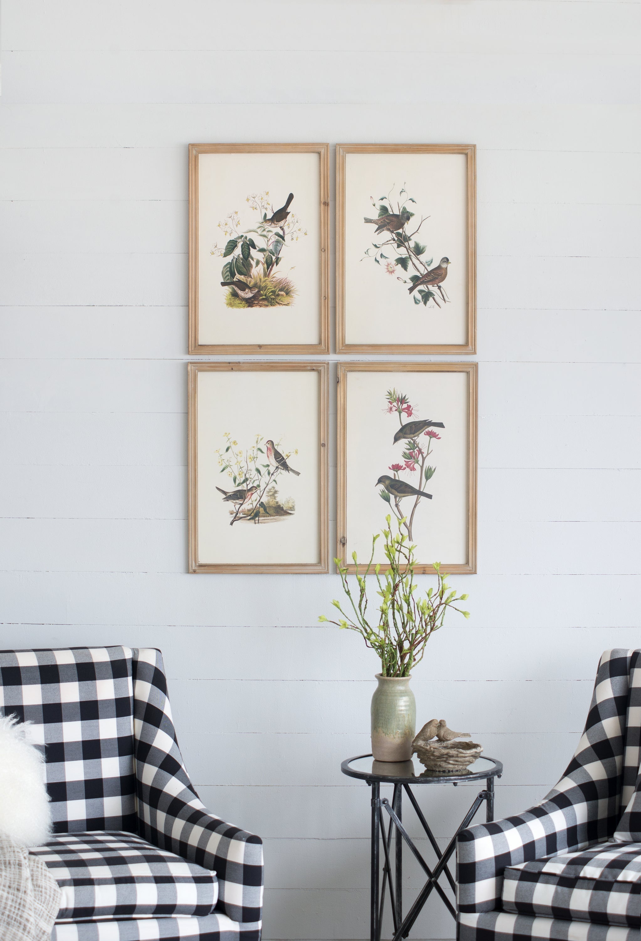 Set of 4 Bird Framed Prints
