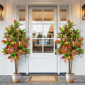 5 FT Tall Artificial Croton Plant with Gradient Leaves and Nursery Pot-2 Pack