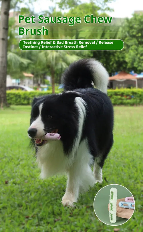 DOG Chew Toys For Teeth Cleaning,Pet Sausage Chew Brush,Pet Chew &