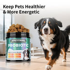 Comprehensive Dog Probiotic & Digestive Enzymes Supplement, 120 Soft