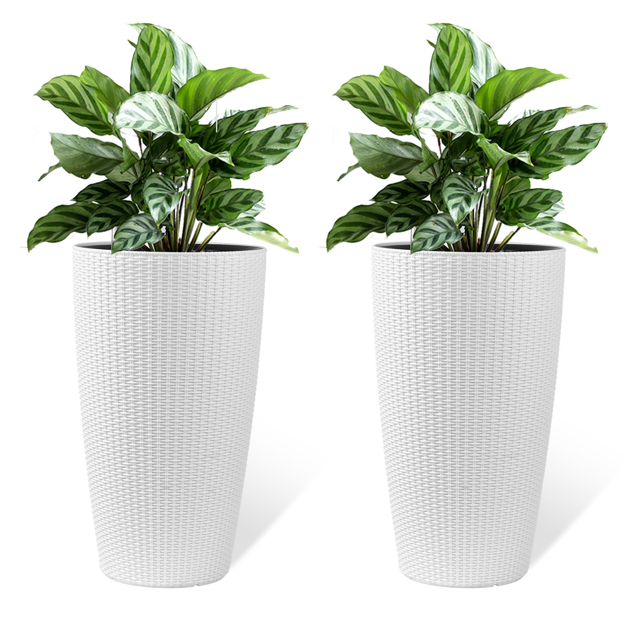 Faux Rattan Tall Planters Set with Water Level Monitor and Automatic Watering