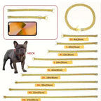 US LOCAL STOCK Hiphoppet Beautiful Hot Sale Luxury Alloy Dog Chain