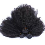 BeuMax 10A Grade 3/4 Afro Kinky Curly Bundles with 4x4 Closure