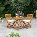 Outdoor Folding Chairs with Seat Cushions Set of 2-Beige
