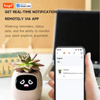 Tuya Ivy Smart Planter,Endless Fun Over 49 Rich Expressions,7 smart
