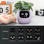 Tuya Ivy Smart Planter,Endless Fun Over 49 Rich Expressions,7 smart