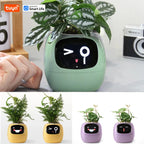 Tuya Ivy Smart Planter,Endless Fun Over 49 Rich Expressions,7 smart