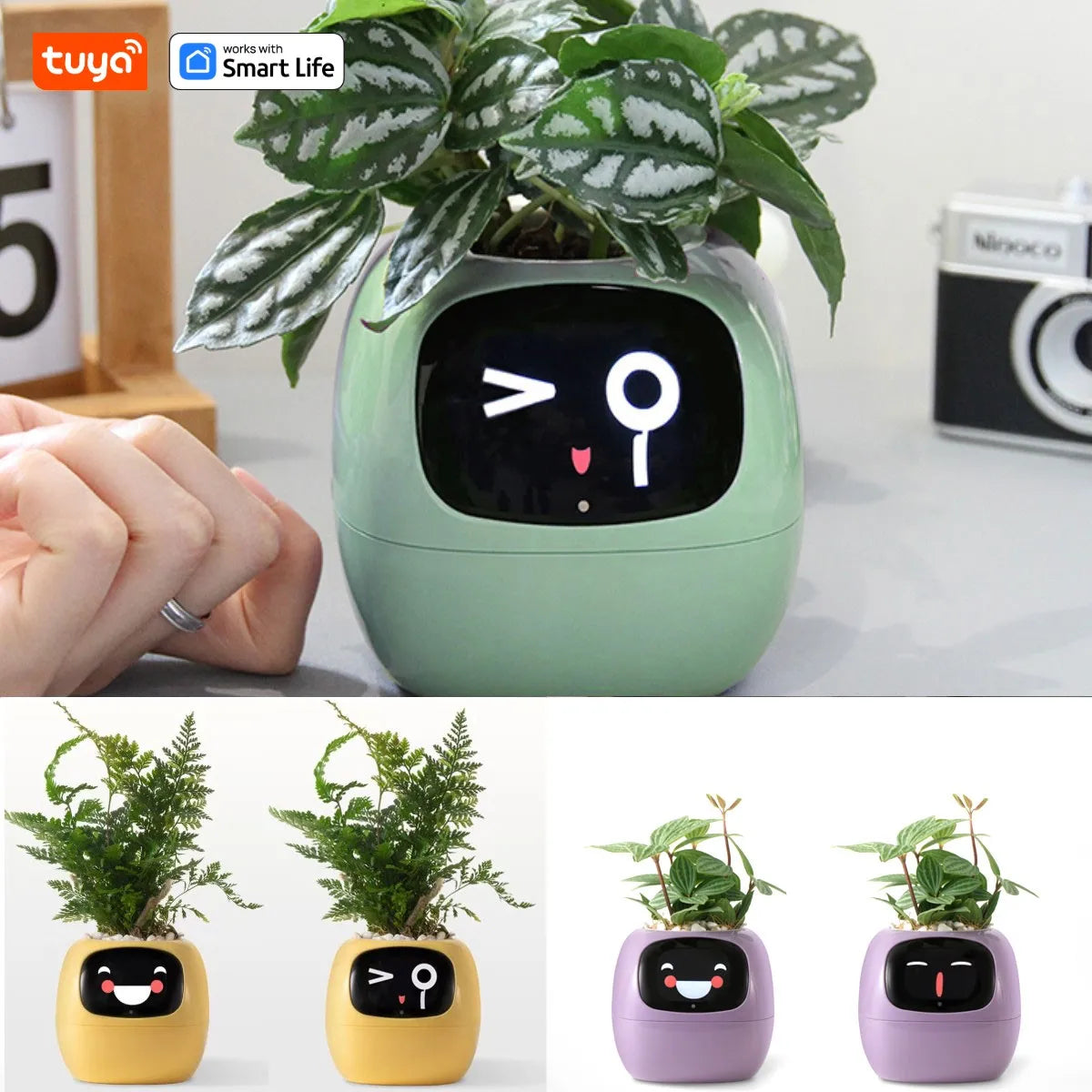 Tuya Ivy Smart Planter,Endless Fun Over 49 Rich Expressions,7 smart