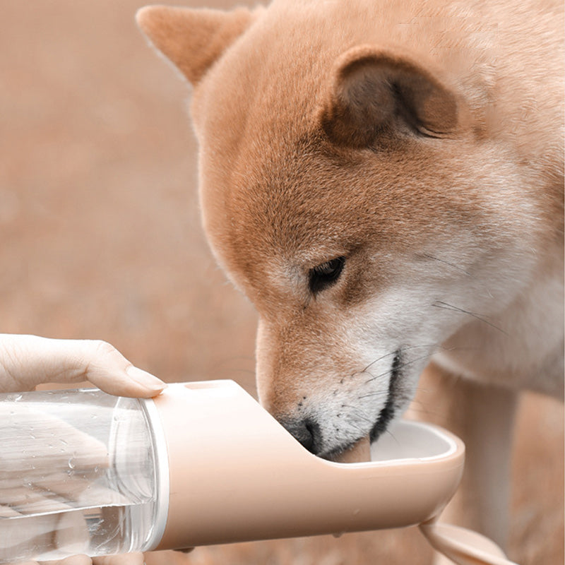 Pet Cats And Dogs Portable Outdoor Drinking Cups