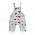 Baby Boy Girl's Casual Heart Pattern Jumpsuit, Paper Airplane Heart