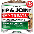 Hemp Hip And Joint Supplement For Dogs Glucosamine For Dogs Joint Pain
