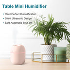 Portable Mini Humidifier 220ml Small Cool Mist Humidifier USB Personal