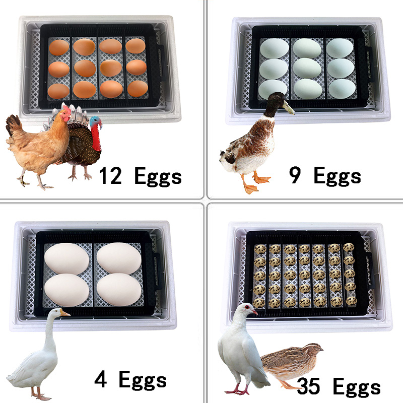 Automatic Eggs Incubator Digital Temperature Control Chicken Brooder