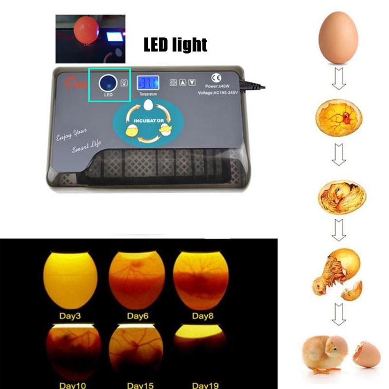 Automatic Eggs Incubator Digital Temperature Control Chicken Brooder
