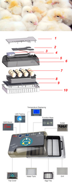 Automatic Eggs Incubator Digital Temperature Control Chicken Brooder