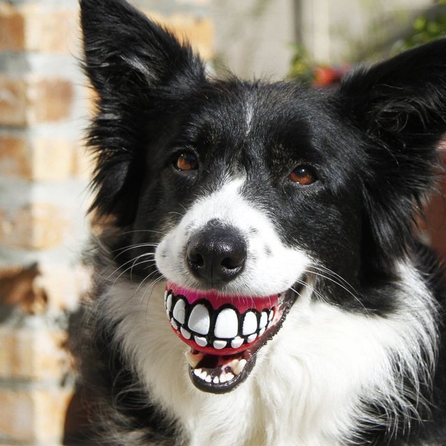 Grinz Treat Ball