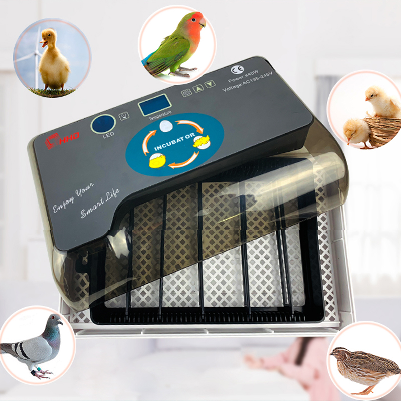 Automatic Eggs Incubator Digital Temperature Control Chicken Brooder