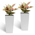 Pack of 2 Square Planters with Automatic Watering System - 22 Inch