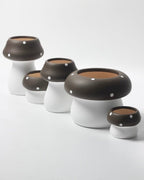 Handmade Cute Whimsical Ceramic Mushrrom Plant Flower Pot for Indoor /
