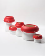 Handmade Cute Whimsical Ceramic Mushrrom Plant Flower Pot for Indoor /