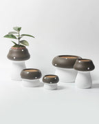 Handmade Cute Whimsical Ceramic Mushrrom Plant Flower Pot for Indoor /