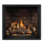 Napoleon Elevation X 42 Direct Vent Electronic Ignition Propane Gas Fireplace, 44" [EX42N/PTEL] (SAK83652)