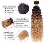 10A Grade Ombre #27 Kinky Curly #1B/4/27 BUNDLES with 4x4 CLOSURES & 1